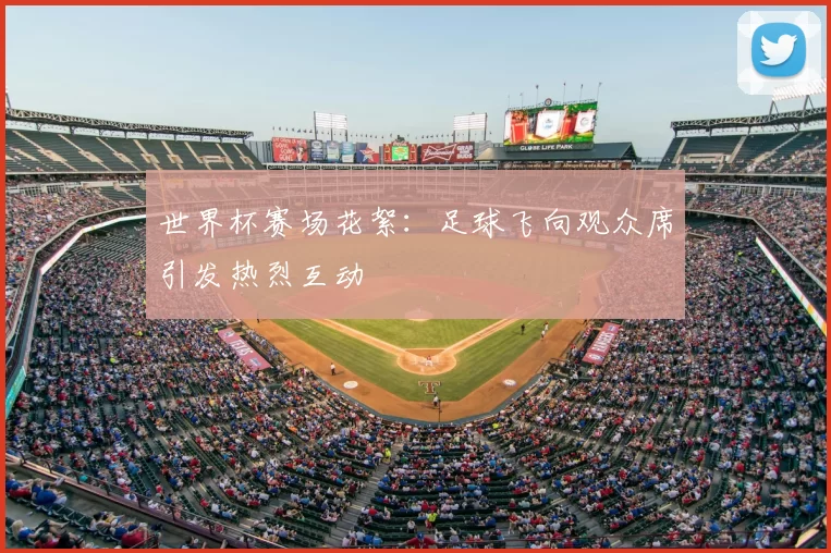 世界杯赛场花絮:足球飞向观众席引发热烈互动
