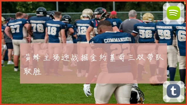 黄蜂主场迎战掘金约基奇三双带队取胜