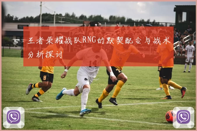 王者荣耀战队RNG的默契配合与战术分析探讨