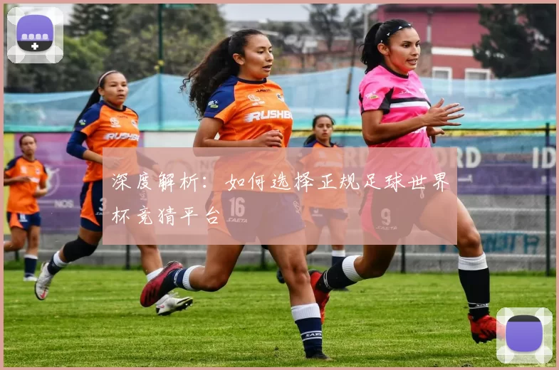 深度解析:如何选择正规足球世界杯竞猜平台