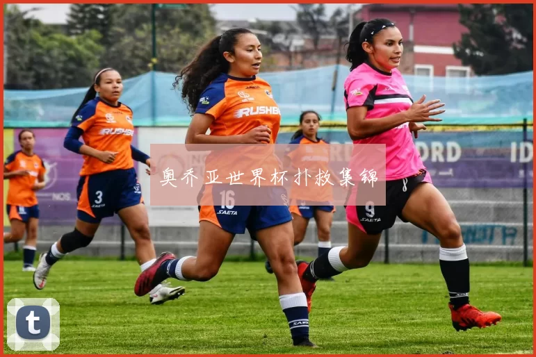奥乔亚世界杯扑救集锦