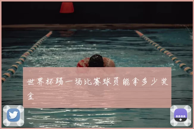 世界杯踢一场比赛球员能拿多少奖金