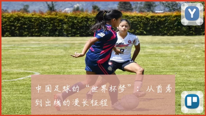 中国足球的“世界杯梦”:从首秀到出线的漫长征程