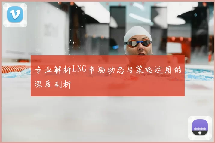 专业解析LNG市场动态与策略运用的深度剖析