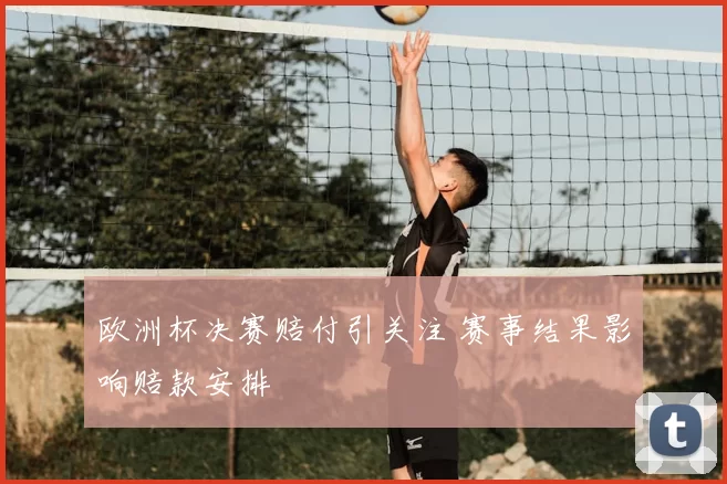 欧洲杯决赛赔付引关注 赛事结果影响赔款安排