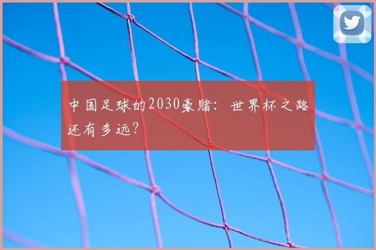 中国足球的2030豪赌:世界杯之路还有多远?