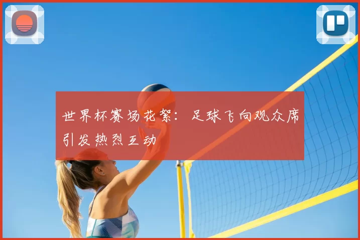 世界杯赛场花絮:足球飞向观众席引发热烈互动