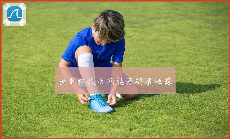 世界杯投注网站源码遭泄露