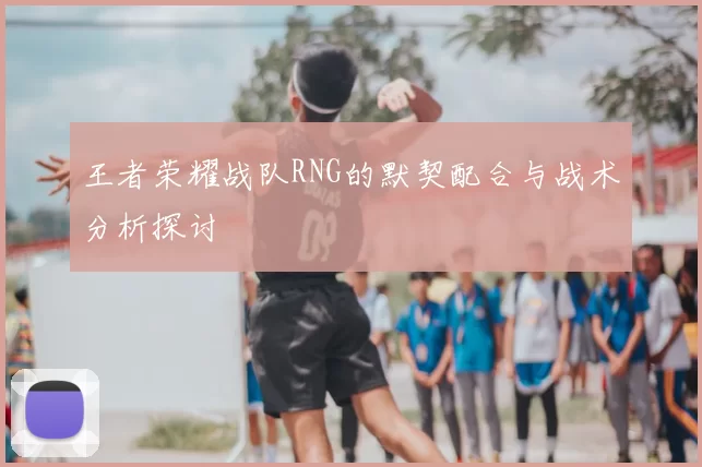 王者荣耀战队RNG的默契配合与战术分析探讨