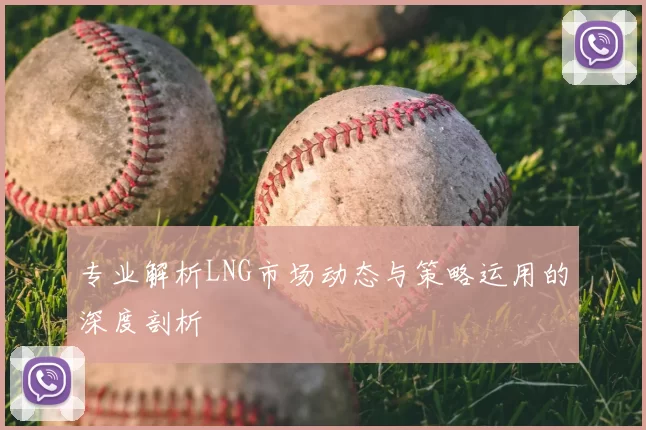 专业解析LNG市场动态与策略运用的深度剖析