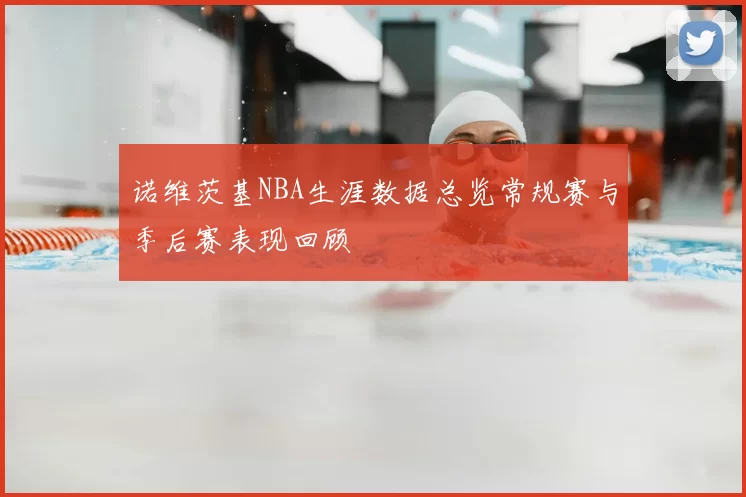 诺维茨基NBA生涯数据总览常规赛与季后赛表现回顾
