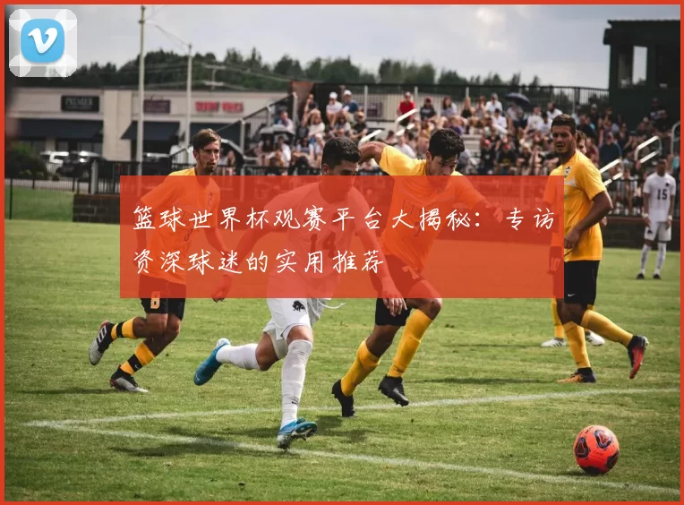 篮球世界杯观赛平台大揭秘:专访资深球迷的实用推荐